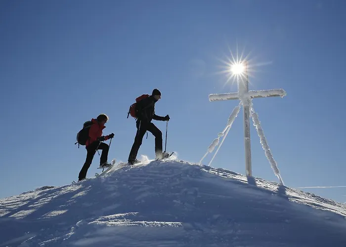 酒店 洛伊酒店 3*
