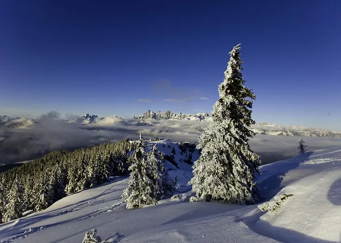 洛伊酒店 酒店 格洛博明
