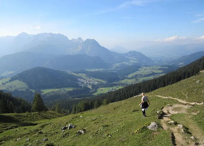 酒店 洛伊酒店 3*
